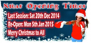 christmas closing times