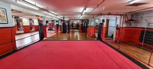 Leicester kickboxing